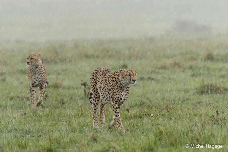 sous la pluie