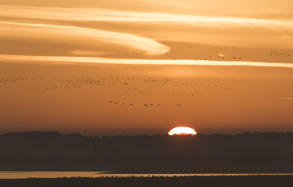 Montier en Der: lever de soleil sur le lac